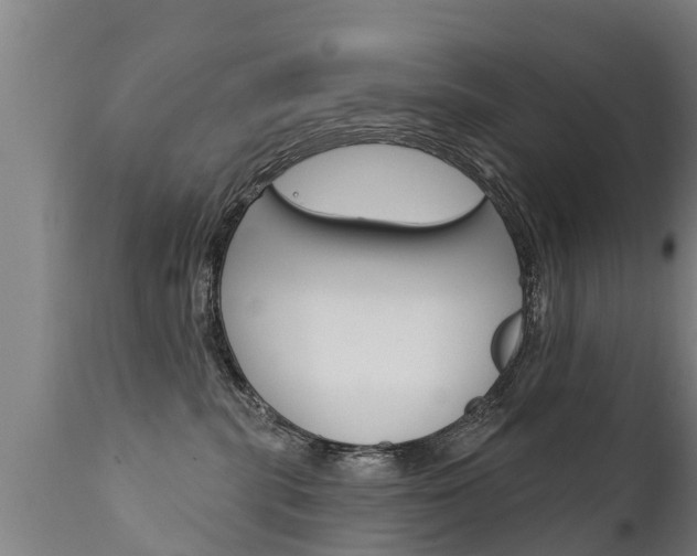 X0000111910283200907271042