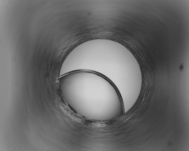X0000111910284200907271042