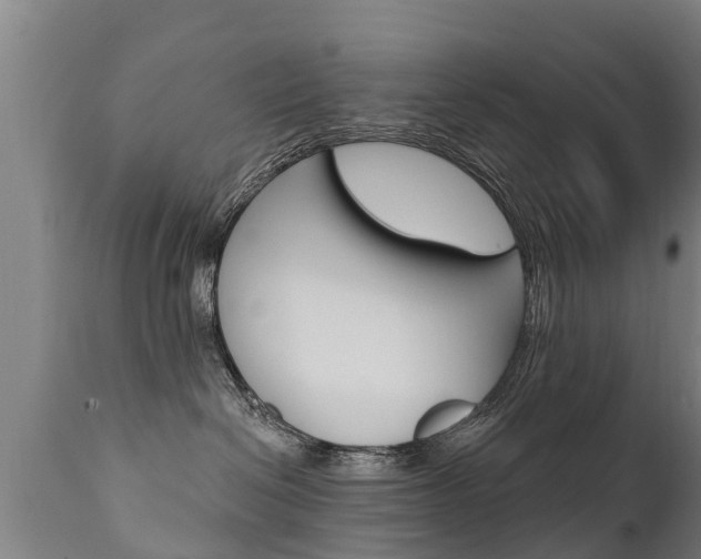 X0000111910286200907271042