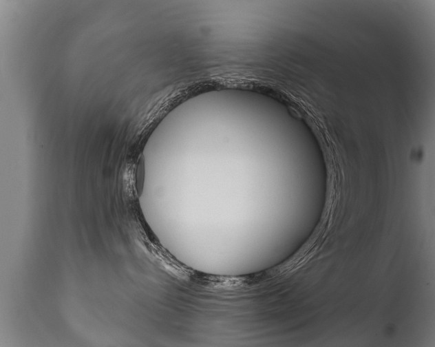 X0000111910288200907271042