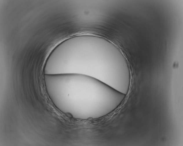 X0000111910289200907271042