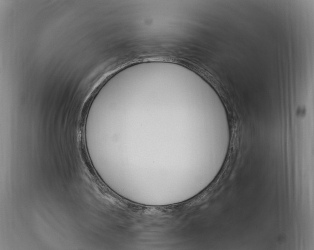 X0000111910290200907271042