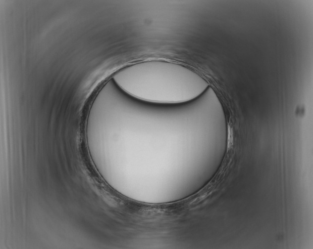 X0000111910291200907271042