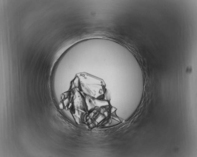 X0000111910292200907271042