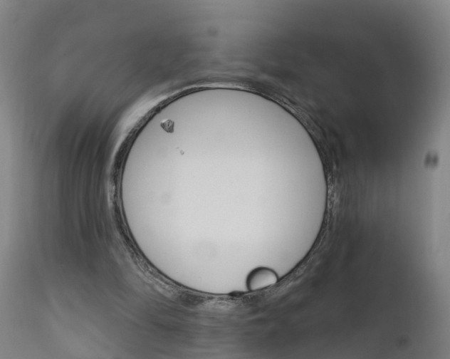 X0000111910294200907271042
