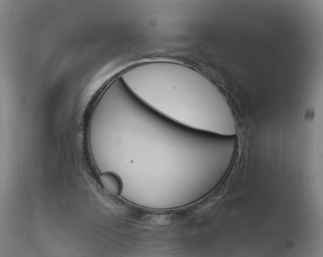 X0000111910295200907271042