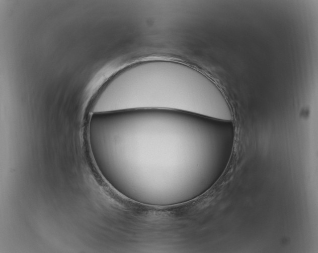 X0000111910296200907271042