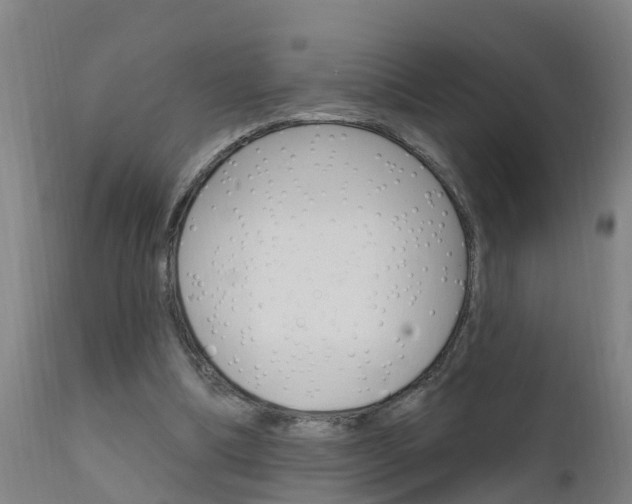 X0000111910298200907271042