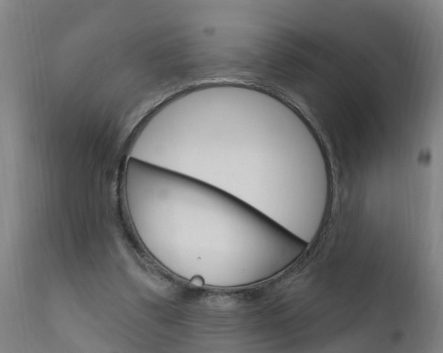 X0000111910299200907271041