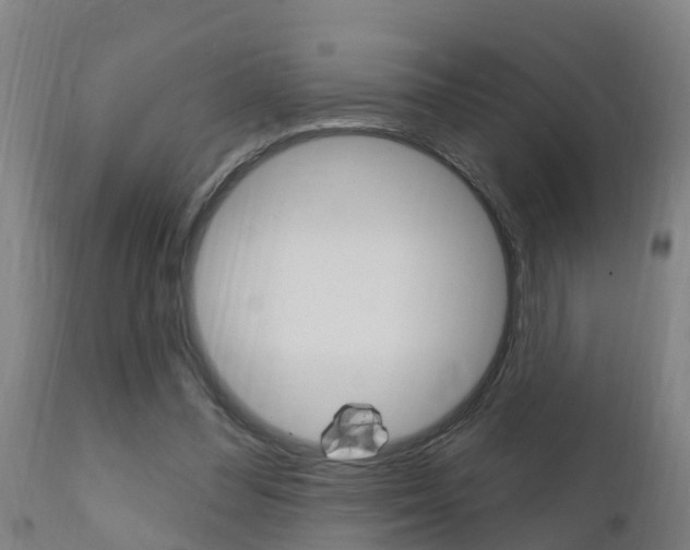 X0000111910300200907271041