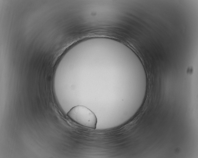 X0000111910301200907271041