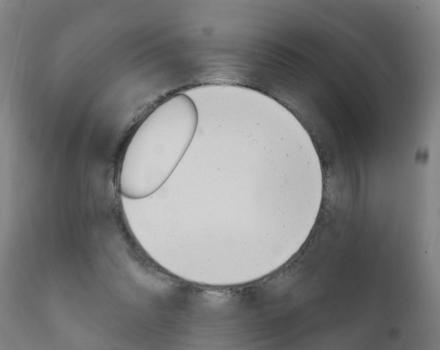 X0000111910302200907271041