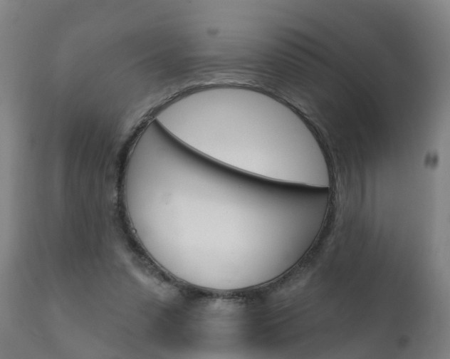X0000111910303200907271041