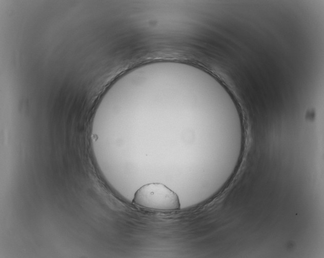 X0000111910305200907271041