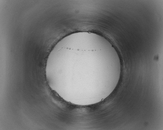 X0000111910307200907271041
