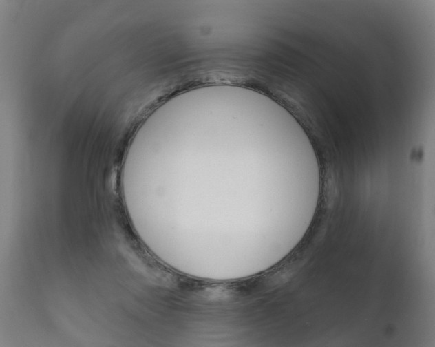 X0000111910310200907271041