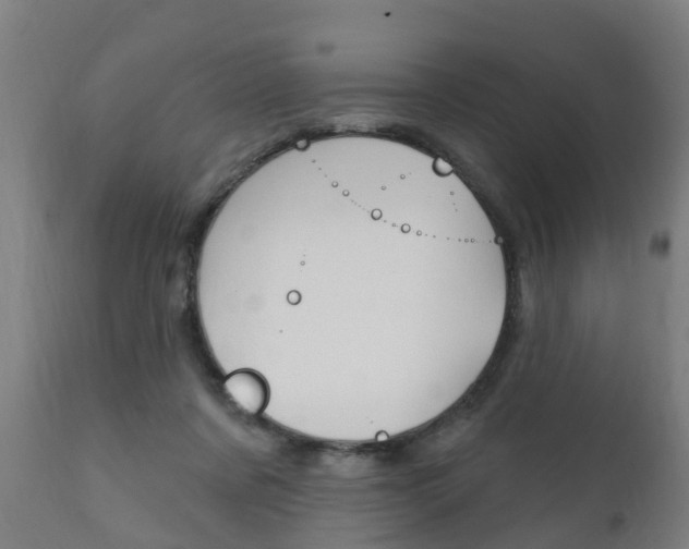 X0000111910311200907271041