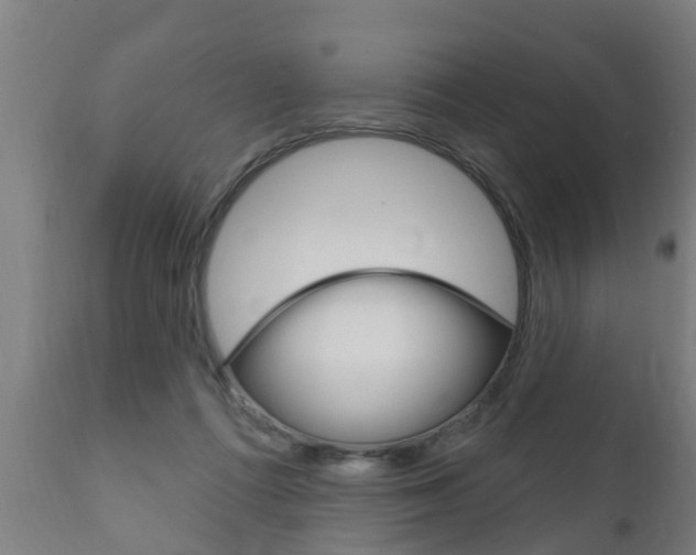 X0000111910312200907271041