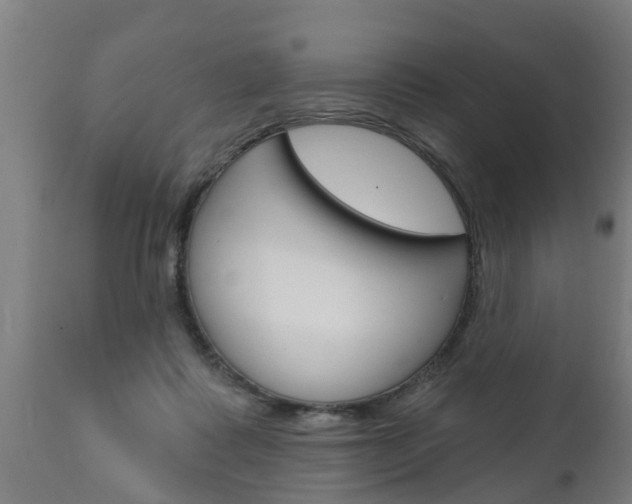 X0000111910315200907271041