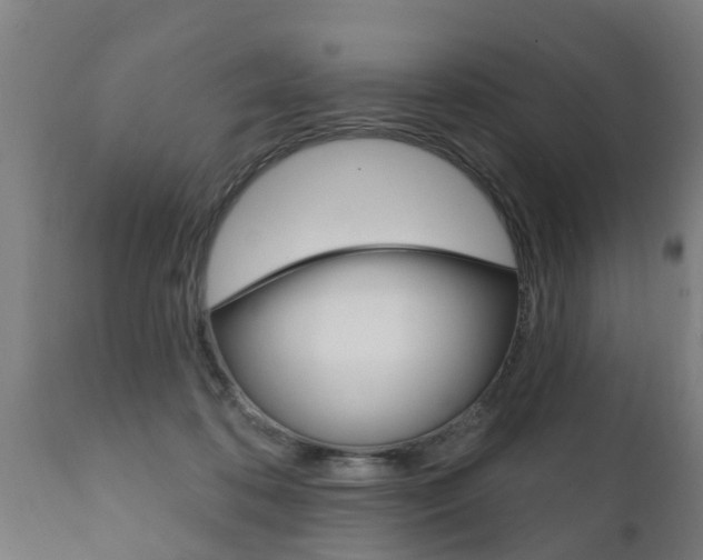 X0000111910316200907271041