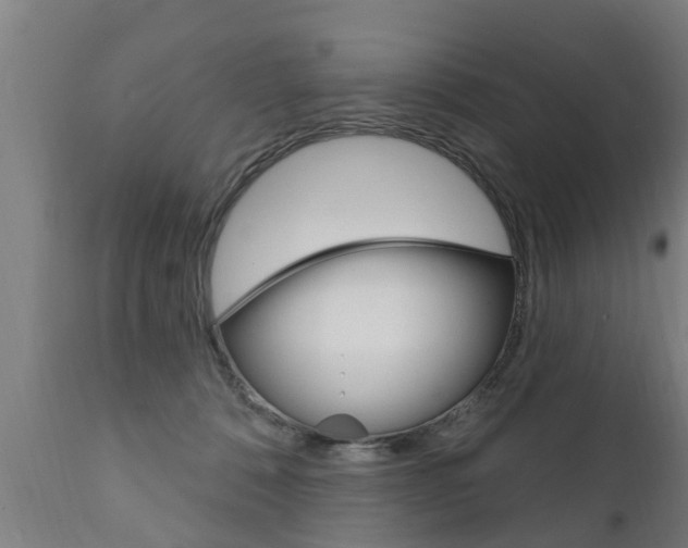 X0000111910320200907271041
