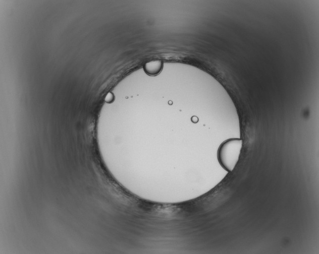 X0000111910321200907271041