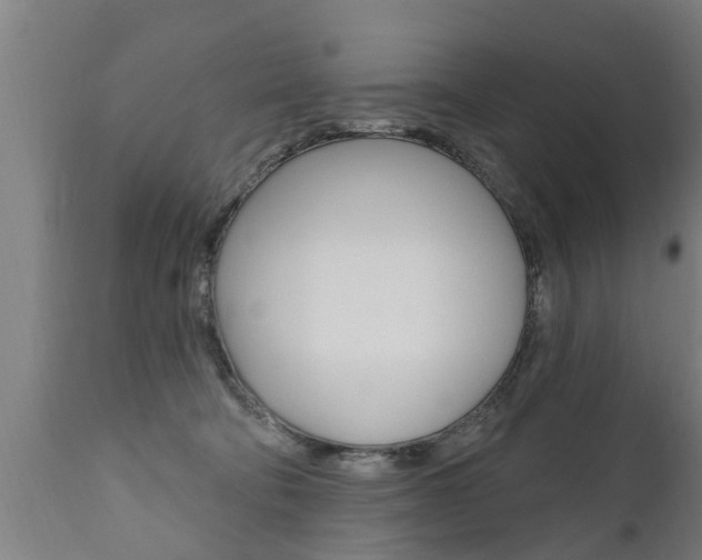 X0000111910322200907271041