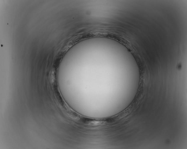 X0000111910323200907271041