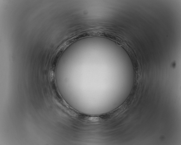 X0000111910324200907271041