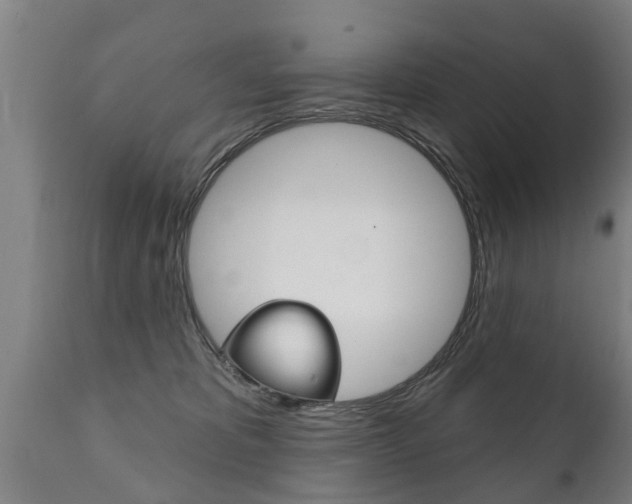 X0000111910325200907271041