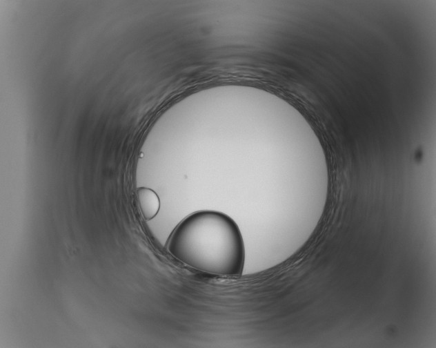 X0000111910327200907271041