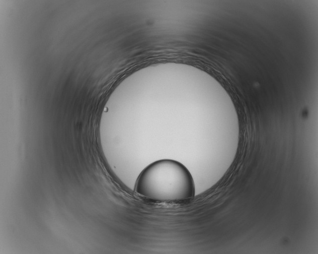 X0000111910328200907271041