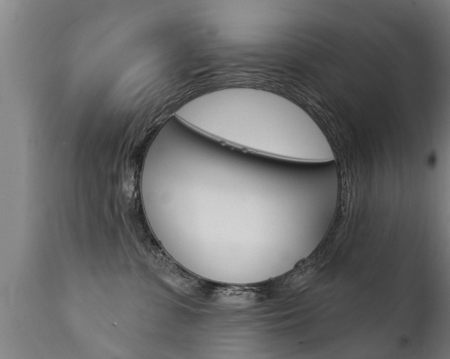 X0000111910331200907271041
