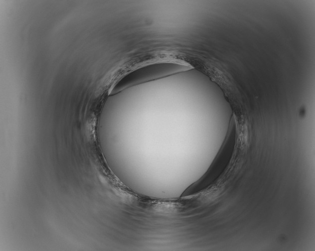 X0000111910332200907271041