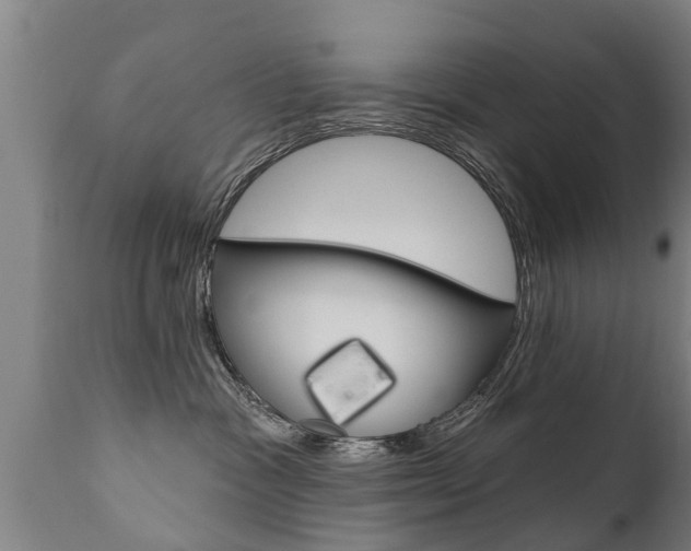 X0000111910333200907271041