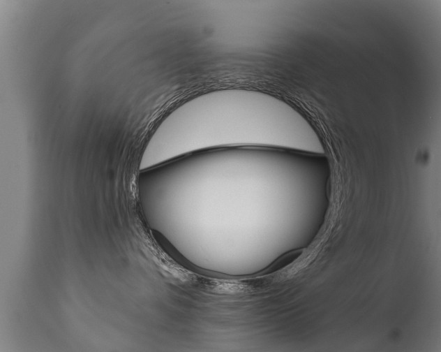 X0000111910336200907271041