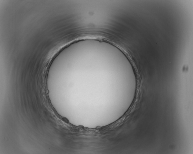 X0000111910337200907271040