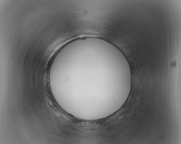 X0000111910338200907271040