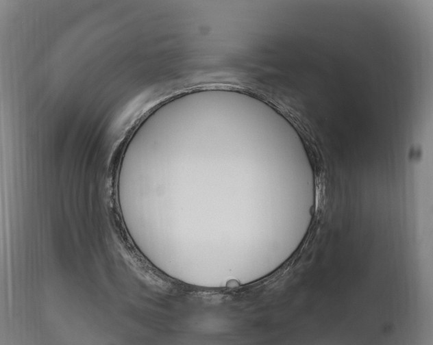 X0000111910339200907271040