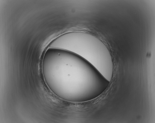 X0000111910340200907271040