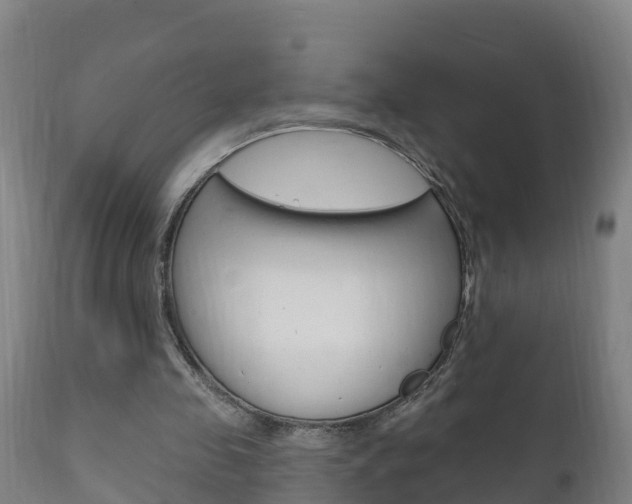 X0000111910341200907271040