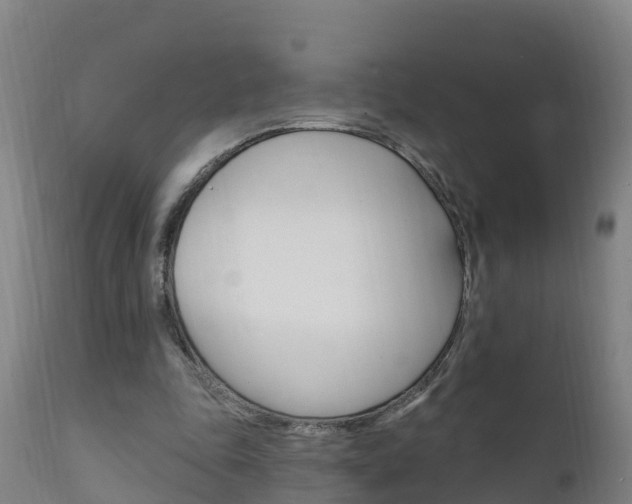 X0000111910343200907271040