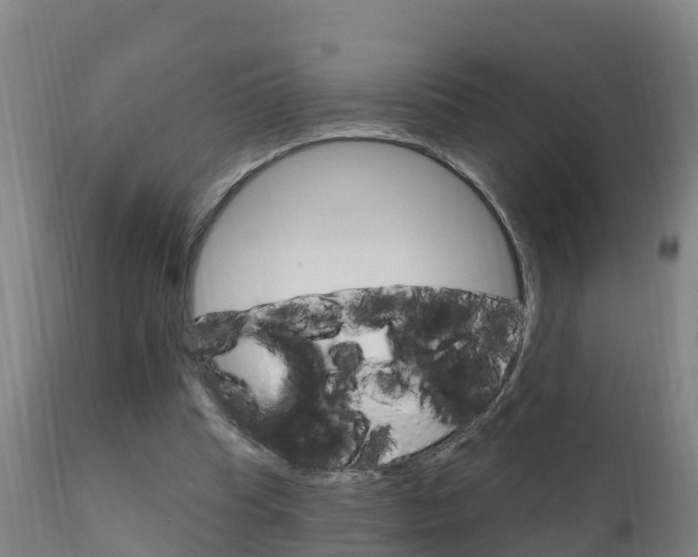 X0000111910345200907271040
