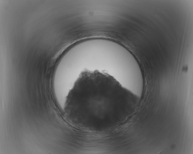 X0000111910347200907271040