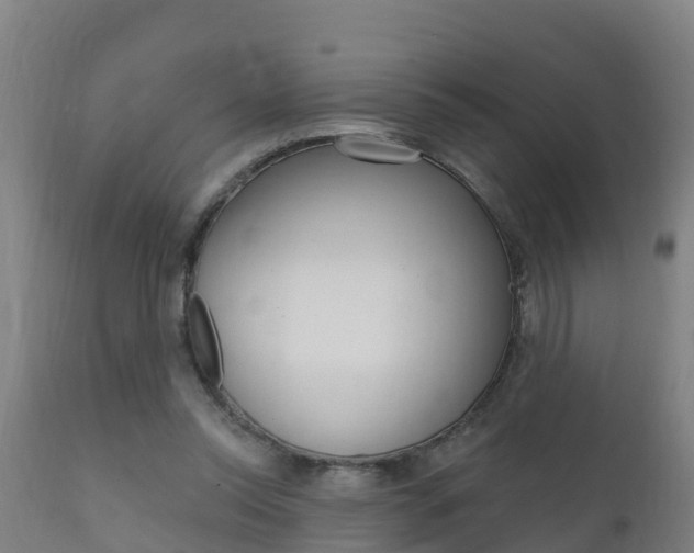 X0000111910350200907271041