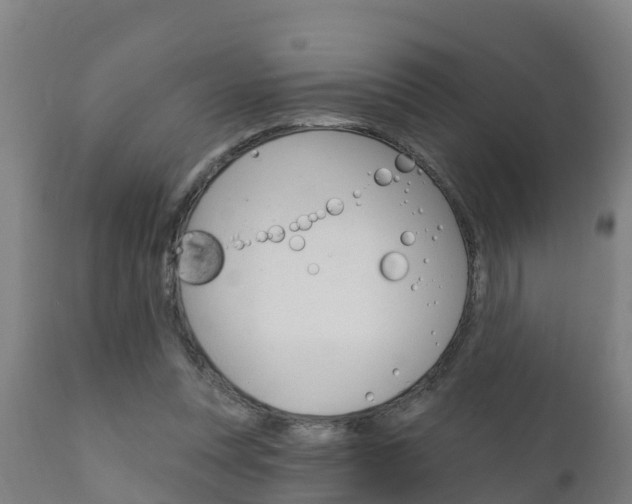 X0000111910351200907271041