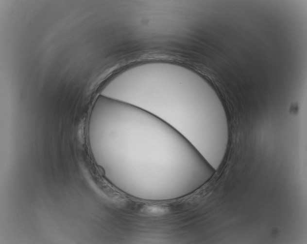 X0000111910352200907271041