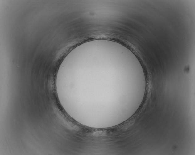 X0000111910353200907271041