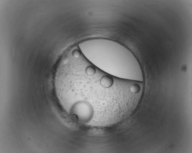 X0000111910354200907271041