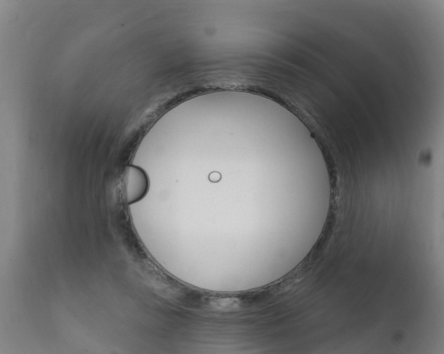 X0000111910355200907271041